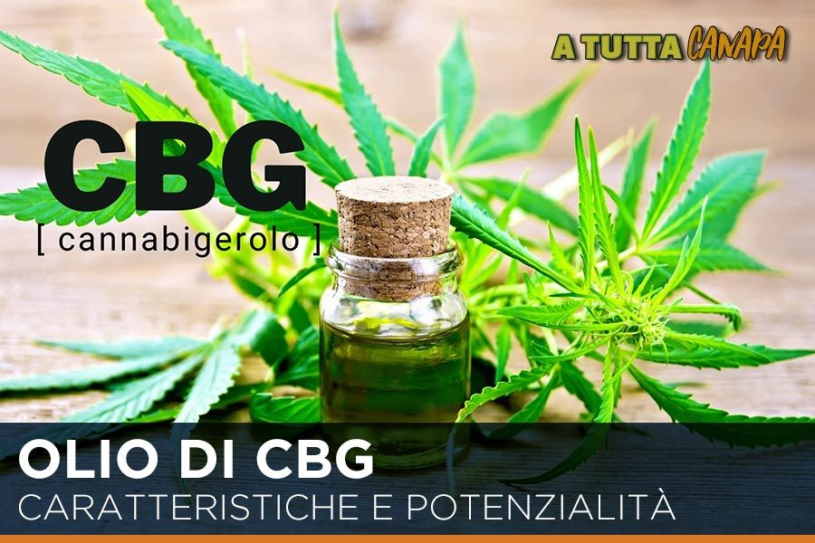 olio-di-cbg