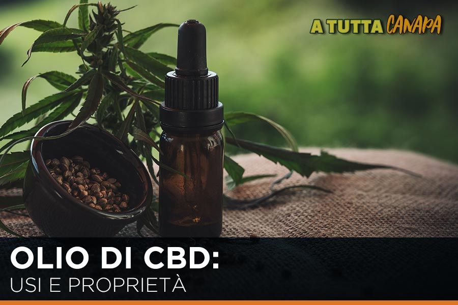 Olio-di-CBD-quali-usi-e-che-proprietà-ha