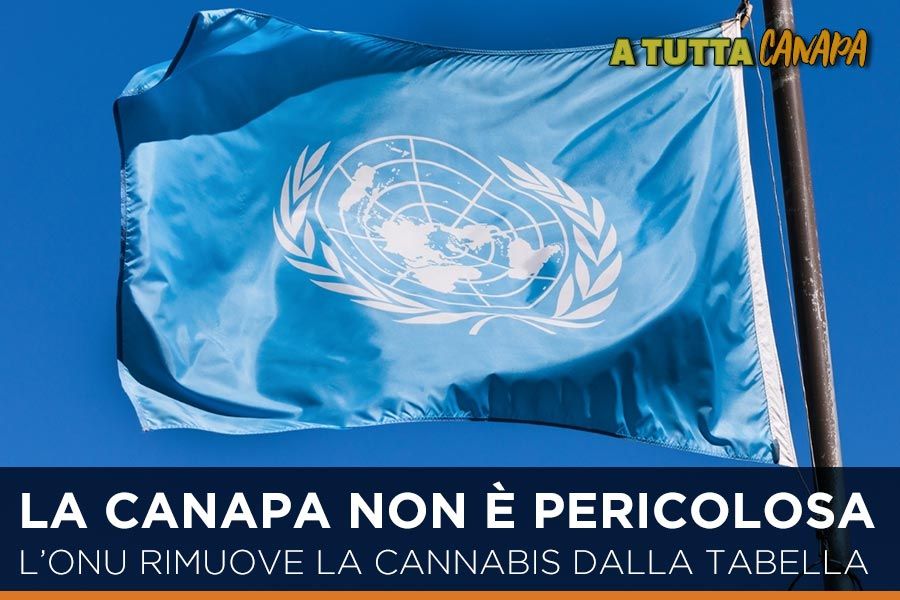 L'Onu-rimuove-la-cannabis-dalla-tabella-delle-sostanze-pericolose